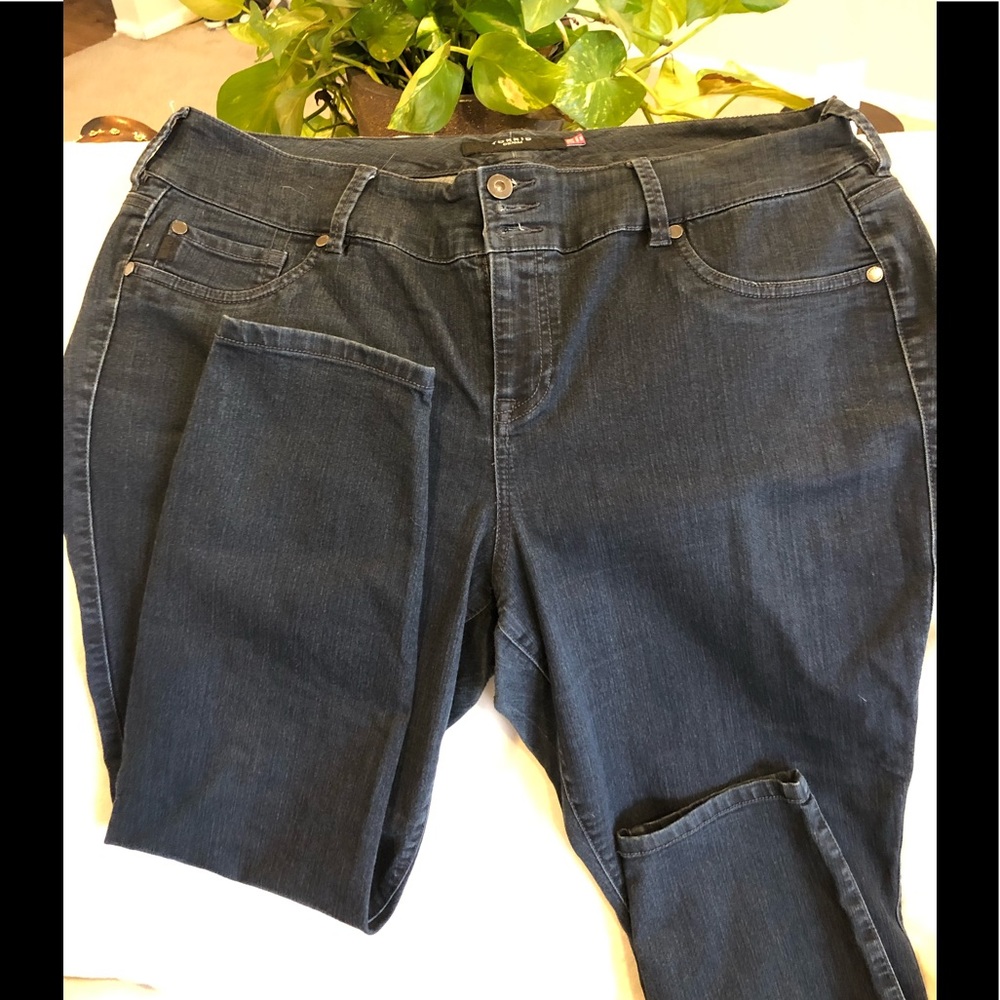 Torrid jeans